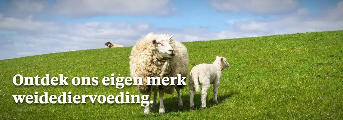 Ons eigen merk weidediervoeding. 